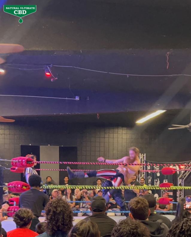 Wrestlers grappling during live Santino Bros Wrestling match in Azusa California with audience watching ringside